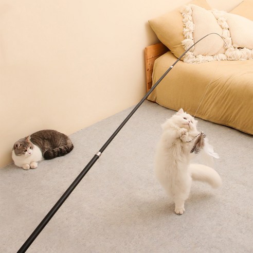 逗貓玩具 逗貓棒 伴侶 寵物用品 貓 用品 玩具 寵物貓 小貓