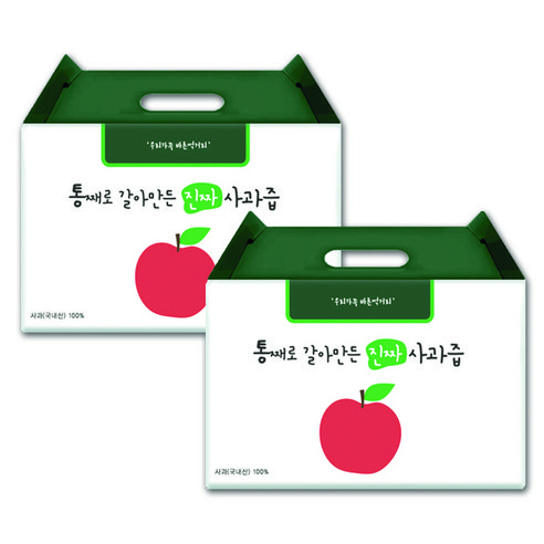 경북햇살영농조합법인 통째로 갈아만든 사과즙, 100ml, 100개