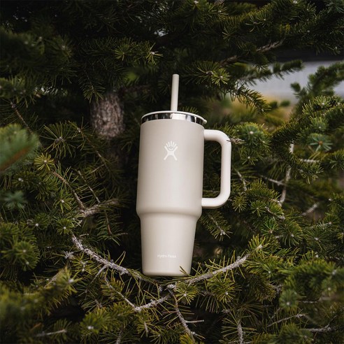 모든 계절에 적합한 완벽한 음료 동반자