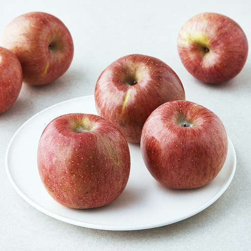 가족 못난이 빨간사과, 2.2kg(대과, 5~7입), 1개
과일 가족 못난이 빨간사과, 2.2kg(대과, 5~7입), 1개
과일