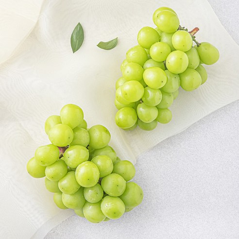 맛뜨레 샤인머스켓 1~2수, 1kg, 1팩