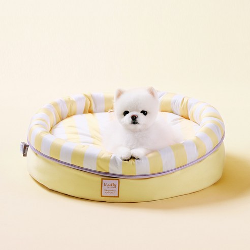 무더운 여름, 사랑하는 반려동물을 위한 시원한 안식처: 울리 쿨링 접이 방석 리뷰 강아지쿨방석