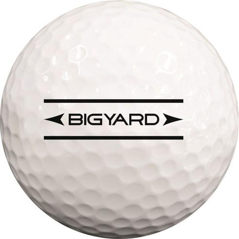 비거리 고민 끝! 빅야드 넥센 빅스타 골프공으로 더 멀리, 더 즐겁게!
