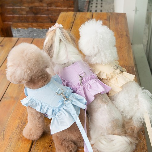 귀여움과 안전함을 동시에 제공하는 반려동물 하네스