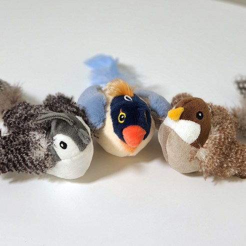 伴侶  寵物用品  貓  用品  玩具  寵物貓  貓  貓  小貓  小貓