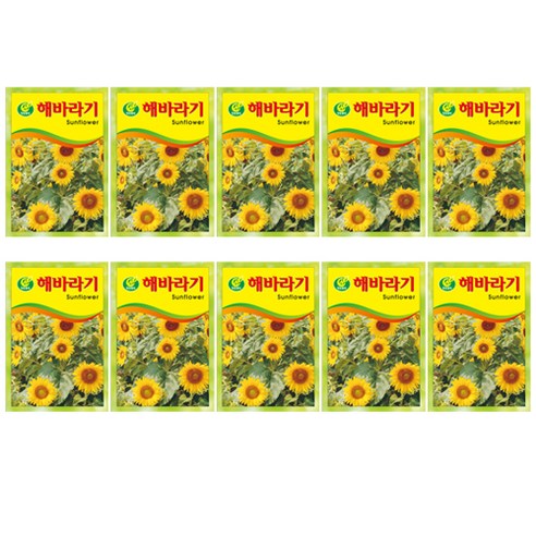 중앙꽃씨 해바라기, 10개