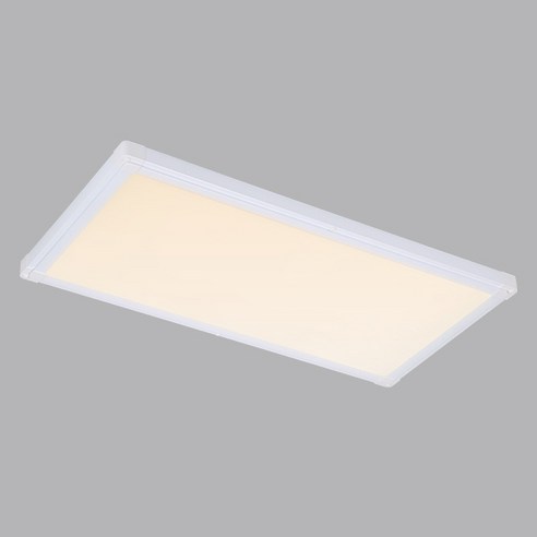비츠온 원하 퓨쳐 LED 슬림 면조명 엣지등 평판등 25W 640 x 320 mm, 화이트(조명) + 주백색(전구)