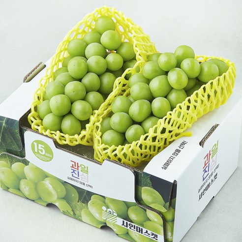과일진심 샤인머스캣 청포도, 1개, 1.2kg