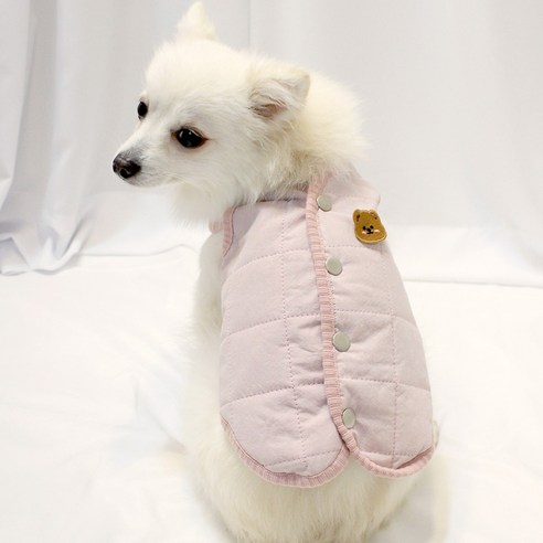 伴侶  寵物產品  小狗  貓  聯合使用  服裝  外衣  狗  狗  狗