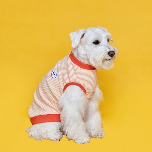 플로트 강아지 릴렉스보더 민소매 티셔츠, 피치