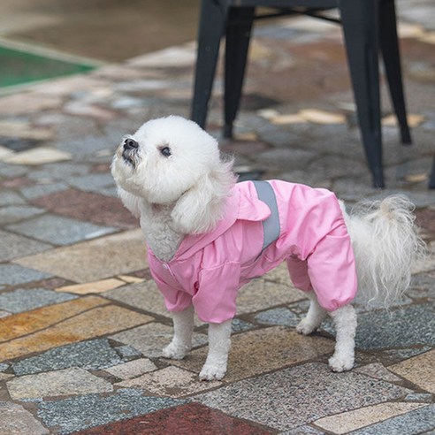 강아지 개맑은 우비, 핑크