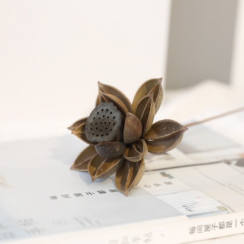 가팡 드라이플라워 DRYJ048, 04번