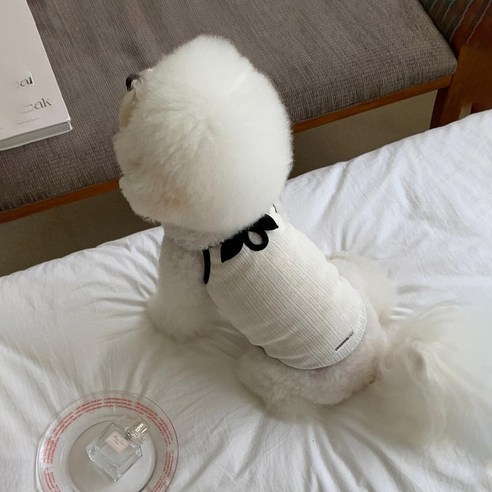 딩동펫 반려동물 로맨틱 리본 나시 티셔츠, 1개, 화이트