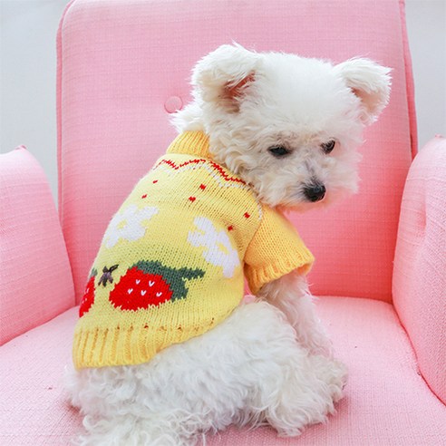 파라다이소 러블리 딸기 니트 티셔츠 조끼 목티 폴라티 터틀넥 스웨터 강아지 옷 PRDP049, 옐로우