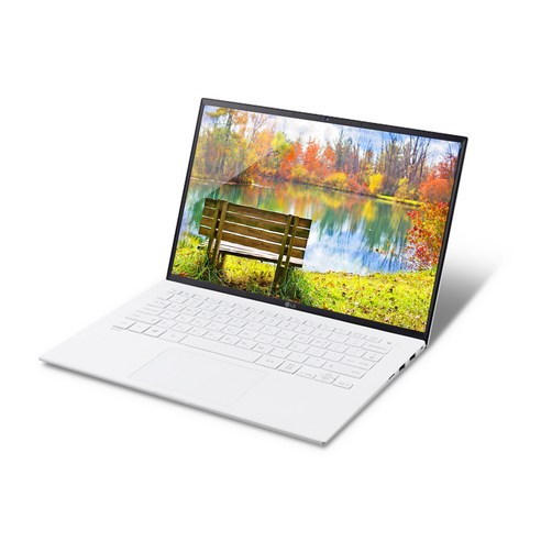 LG전자 2021 그램 14, 스노우 화이트, 코어i5 11세대, 1024GB, 8GB, WIN10 Home, 14ZD90P-GX50K