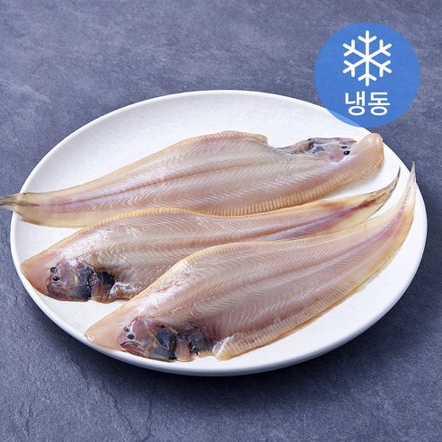 아라장 국내산 군산박대 (냉동), 1개, 390g(130g 내외 3미)