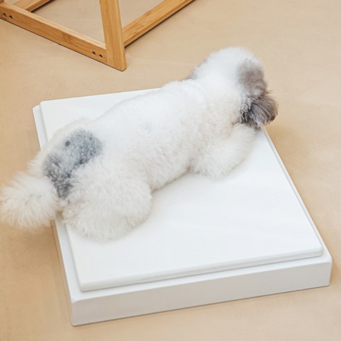 반려동물을 더위로부터 보호하는 대리석 쿨매트