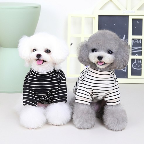伴侶  寵物產品  小狗  貓  組合使用  服裝  T卹  狗  狗  狗