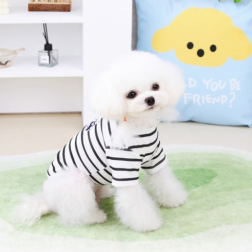 딩동펫 강아지 제임 베어 반팔티셔츠, 블랙