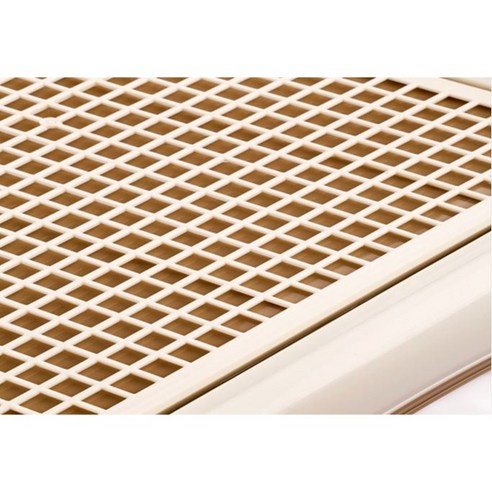 미스터추추 배변판으로 배변 문제 해결하기