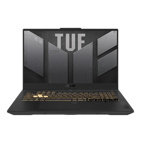 에이수스 2023 TUF 게이밍 F17, Mecha Gray, 코어i9, 512GB, 16GB, Free DOS, FX707VV4-LL017