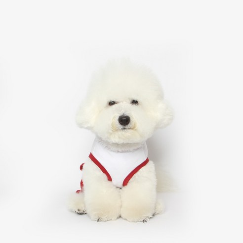 투스투스 강아지 올인원, 레드