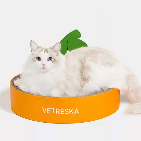 고양이 쁘띠 후르츠 귤모나이트 쇼파 평판형 스크래쳐, 오렌지 + 그린, 1개