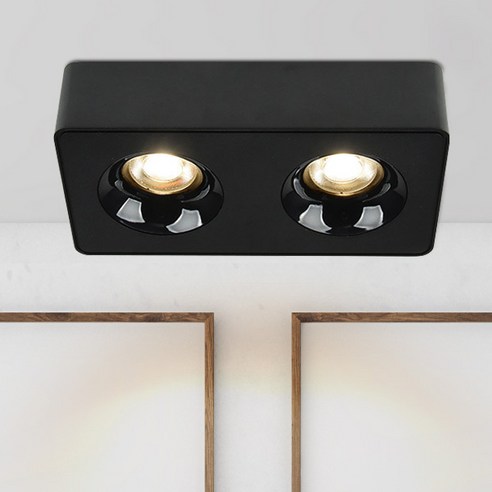 원하 인테리어 에코 모즈 2구 LED 직부등 전구색 플리커프리 COB 15W, 블랙