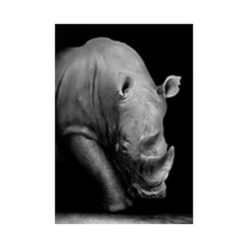 디엠코퍼레이션 흑백 동물 캔버스 포스터 코뿔소