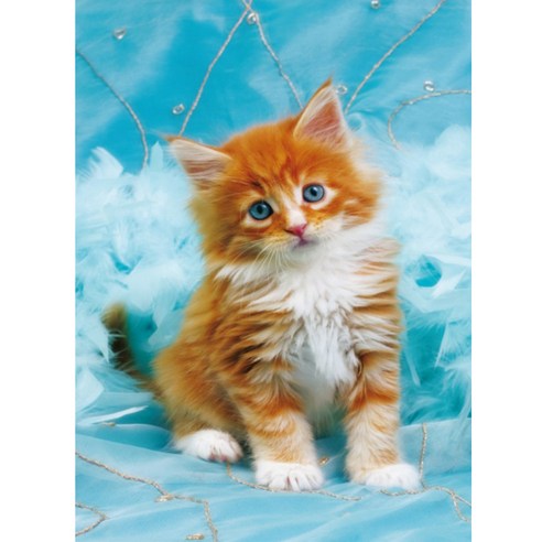 알로데 작은 고양이 벽 장식 DIY 보석십자수 스퀘어 30 x 40 cm, NO. 01, 1개
