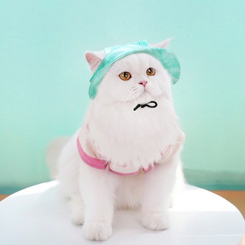 순잠 반려동물 벙거지 햇빛가리개 모자, 민트, 1개