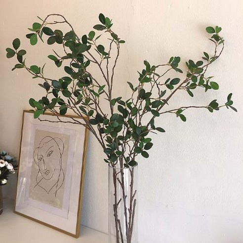 시들 걱정 없이 공간에 싱그러움을 더하다, 자포니카 조화가지