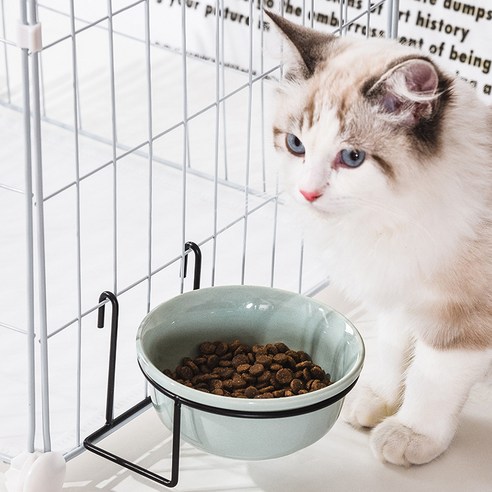 伴侶  寵物用品  小狗  貓  聯合使用  餐具  狗  狗  狗  狗