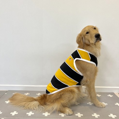 도기스타 강아지 민소매 티셔츠, 노랑