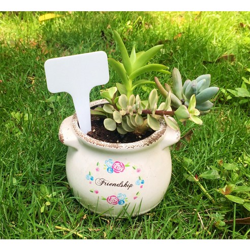 앙플랜트 화분 이름표로 당신의 정원을 더욱 아름답고 체계적으로 가꾸세요.