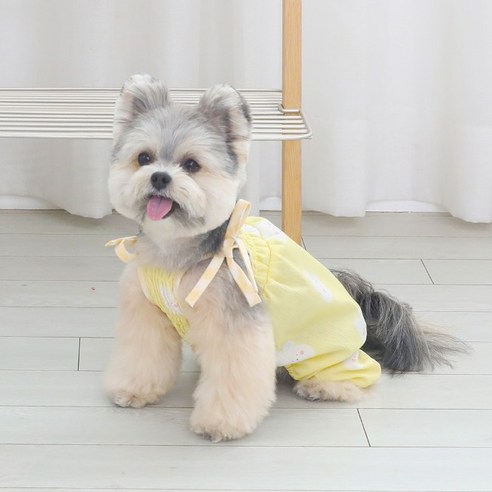 리토가토 반려동물 애플힙 올인원, 옐로우, 1개