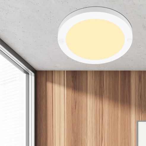 원하 DS LED 루다 플리커프리 원형 직부등 18W 22cm, 화이트 + 주백색, 1개