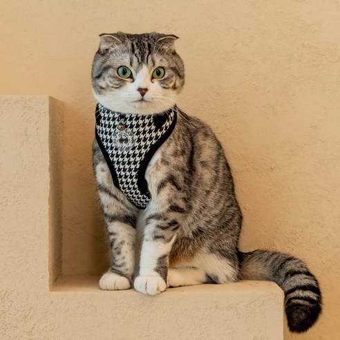 캐츠피아 고양이 마우저 슈페리어 사이즈 조절 하네스 A형 CAXA-HA9516, 블랙