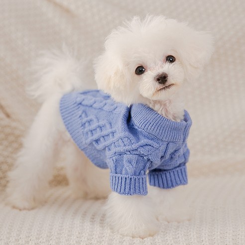 MINGQ 강아지 고양이 꽈배기 니트 티셔츠, 블루