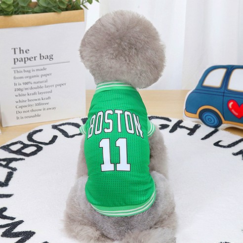 반려동물 우리집 NBA 마스코트 강쥐 농구 티셔츠, 그린