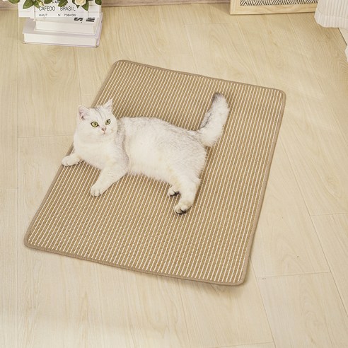 칠시 고양이 다목적 패드 스크래쳐, 혼합색상, 1개