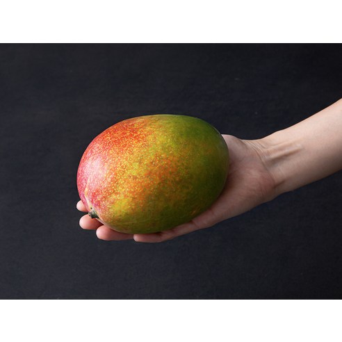 과일의 축제를 선물하세요: 올프레쉬 제철과일 혼합선물 세트