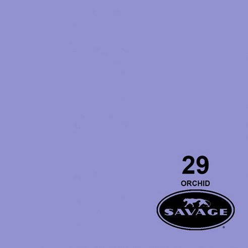 세비지 종이 롤 배경지 HALF, 29-1253(29 Orchid), 1개