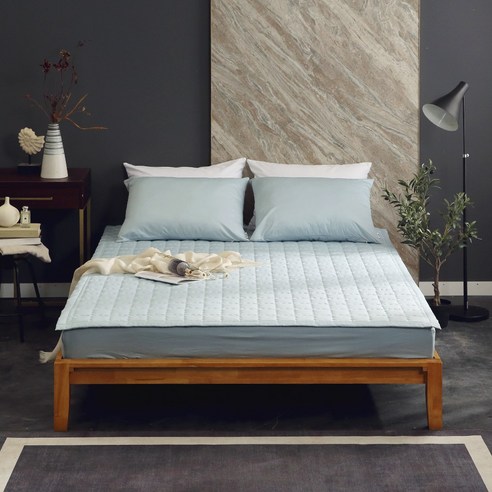 바운티풀 프리미엄 코마사 사틴면 양면 침대패드 스카이블루, 색상, 퀸 Q(150 x 200 cm), 사이즈 섬네일