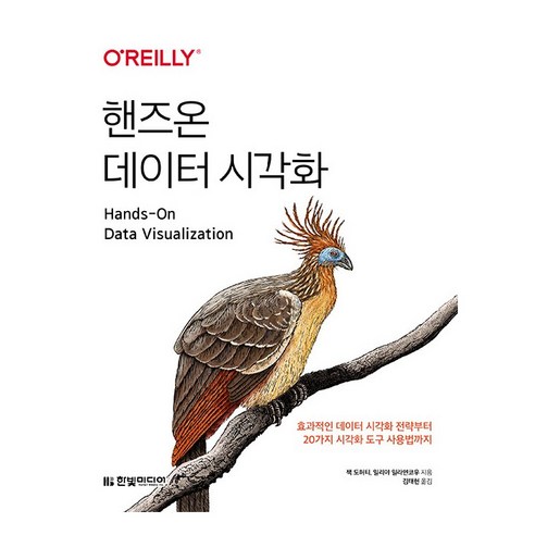 핸즈온 데이터 시각화:효과적인 데이터 시각화 전략부터 20가지 시각화 도구 사용법까지, 한빛미디어
