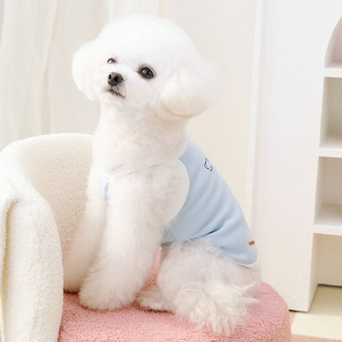 딩동펫 베어 스트라이프 나시 티셔츠로 댕댕이에게 시원함과 스타일을 선물하세요!