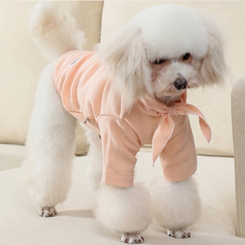 伴侶  寵物產品  小狗  貓  組合使用  服裝  T卹  狗  狗  狗