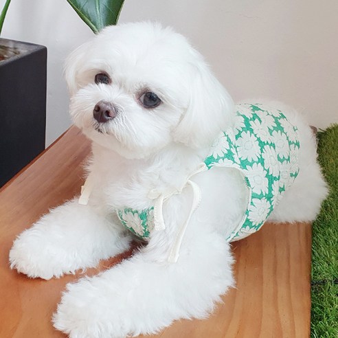 코코마펫 강아지 플라워 홀터넥 나시 티셔츠, 그린