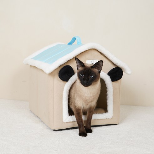 개과천선 고양이 캐빈 하우스, 블루, 1개