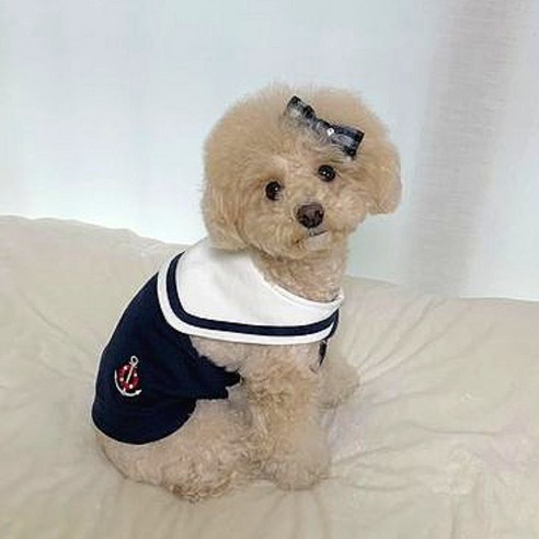 까니쉬 강아지 마린 홀터넥 크롭 나시, 네이비